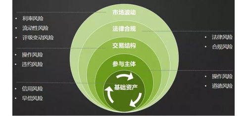 资产支持证券的风险分析 基于受托机构的视角